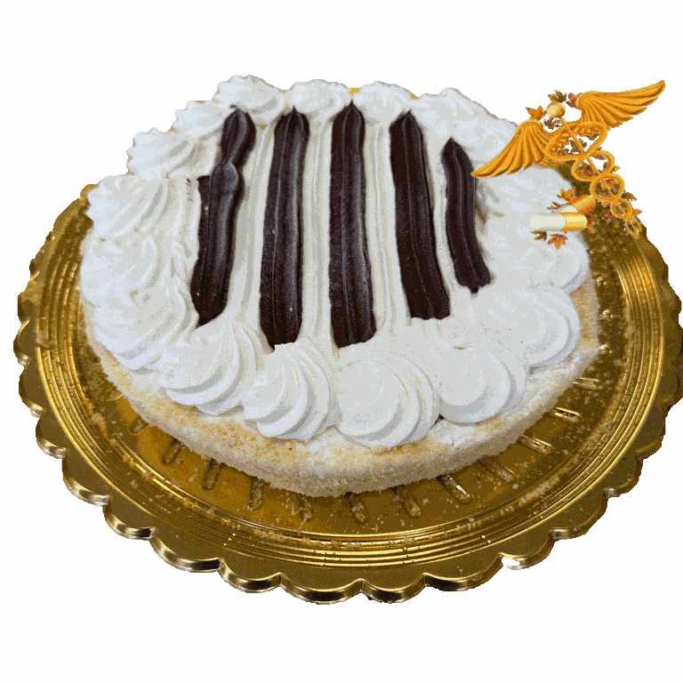 NOVALDO TORTA CHANTILLY CIOCCOLATO 1100GR (SURG)